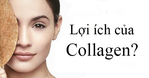 Vạch trần 5 công dụng của collagen đối với cơ thể